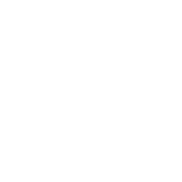 ícone de troféu